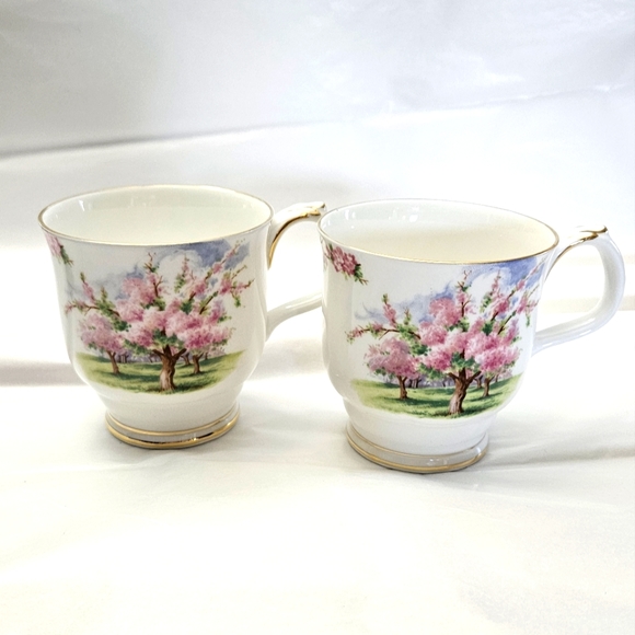Royal Albert Other - Set of two "Blossom time" coffee cups by Royal Albert.